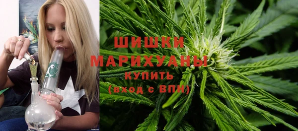 ПСИЛОЦИБИНОВЫЕ ГРИБЫ Белокуриха