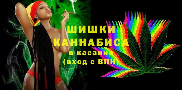 ПСИЛОЦИБИНОВЫЕ ГРИБЫ Белокуриха